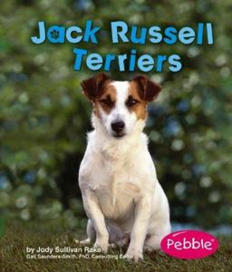 Jack Russell Terriers Jack Russell Terriers