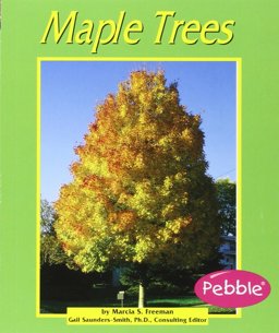 Maple Trees