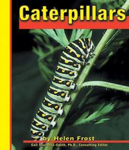 Caterpillars