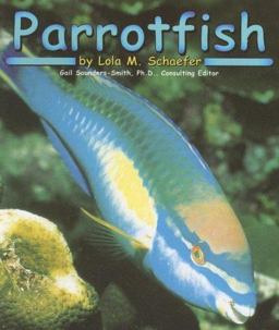 Parrotfish