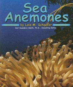 Sea Anemones