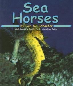 Sea Horses