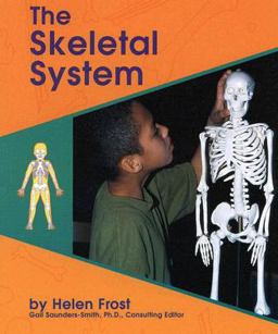 The Skeletal System