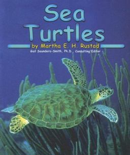 Sea Turtles