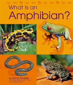 What Is an Amphibian?