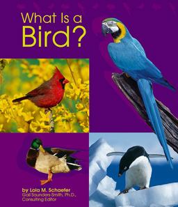 What Is a Bird?
