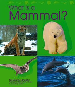 What Is a Mammal?