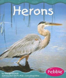 Herons Herons