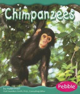 Chimpanzees