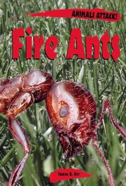 Fire Ants