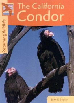 The California Condor
