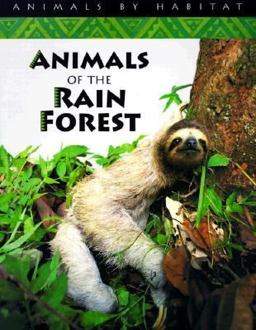 Animals of the Rain Forest