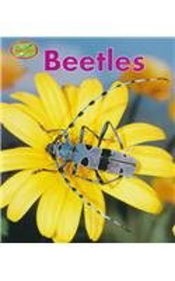 Beetles