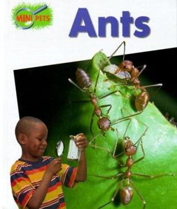 Ants