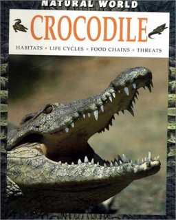 Crocodile