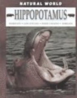 Hippopotamus