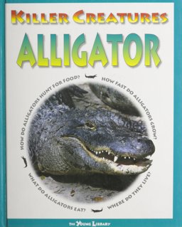 Alligator