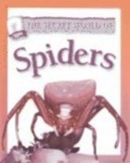 Spiders