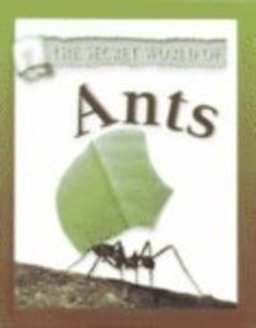 Ants