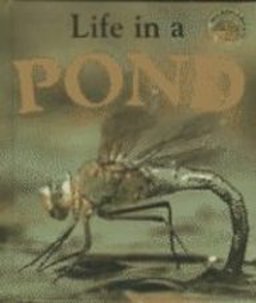 Life in a Pond