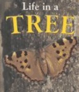 Life in a Tree