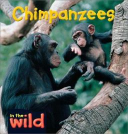Chimpanzees Chimpanzees