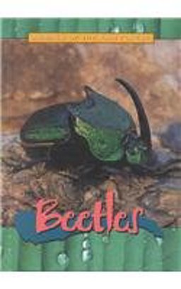Beetles