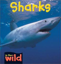 Sharks Sharks