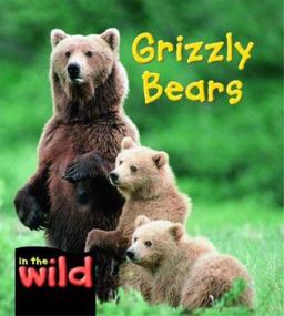 Grizzly Bears Grizzly Bears
