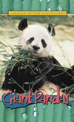Giant Pandas