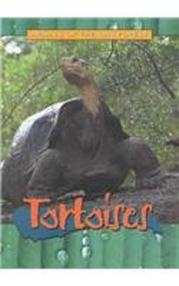 Tortoises
