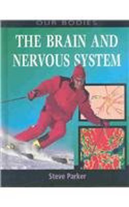 The Brain and Nervous System