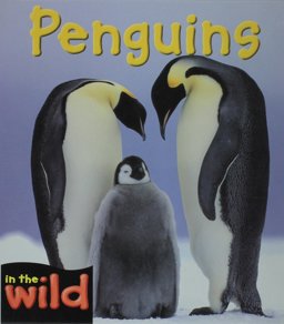 Penguins Penguins