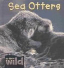 Sea Otters Sea Otters