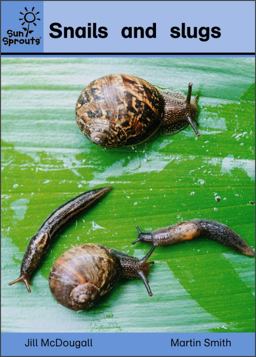 Snails and Slugs