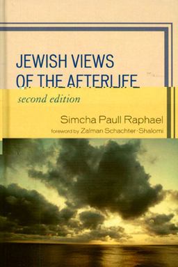 Jewish Views of the Afterlife 2nd 9780742562219 Front Cover