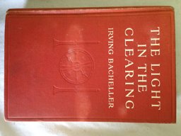 The Light in the Clearing