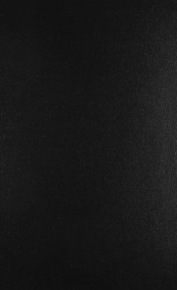 The Chronicles of Clovis