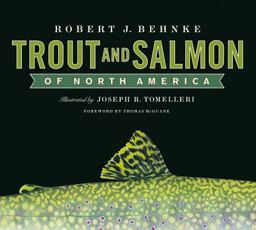 Trout and Salmon of North America  9780743222204 Front Cover