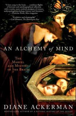Alchemy of Mind The Marvel and Mystery of the Brain  9780743246743 Front Cover