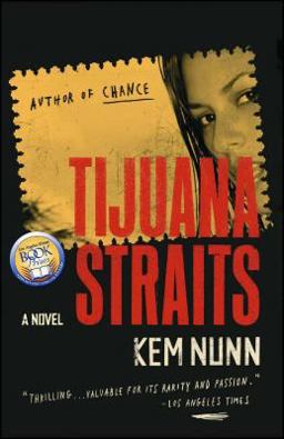 Tijuana Straits A Novel  9780743279826 Front Cover