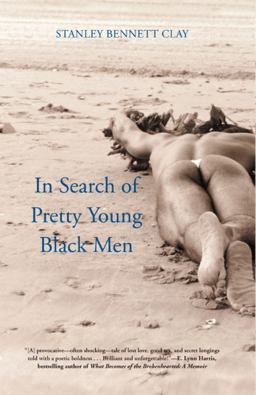 In Search of Pretty Young Black Men A Novel  9780743497169 Front Cover