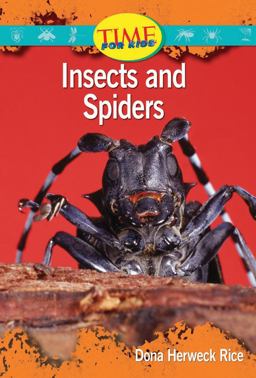 Insects and Spiders