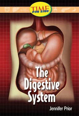 The Digestive System