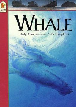 Whale