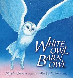 White Owl Barn Owl