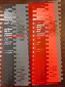 Something in the Wind