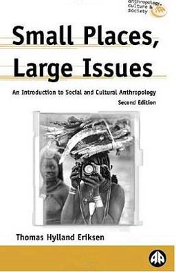 Small Places, Large Issues An Introduction to Social and Cultural Anthropology 2nd 9780745317724 Front Cover