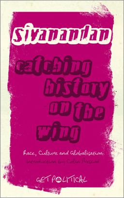 Catching History on the Wing Race, Culture and Globalisation  9780745328348 Front Cover