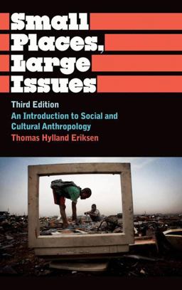 Small Places, Large Issues An Introduction to Social and Cultural Anthropology 3rd 9780745330495 Front Cover